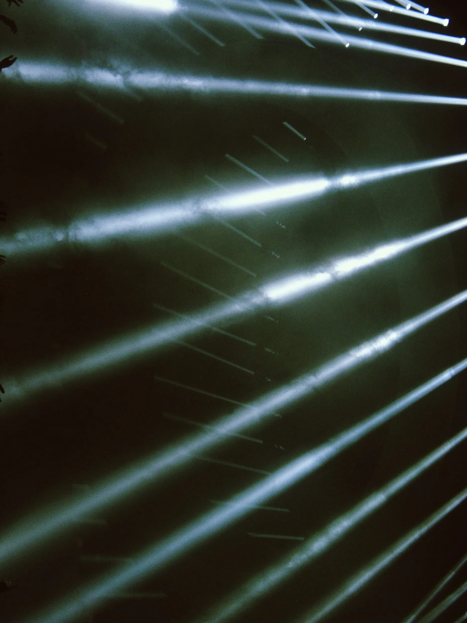 Music — photo 6