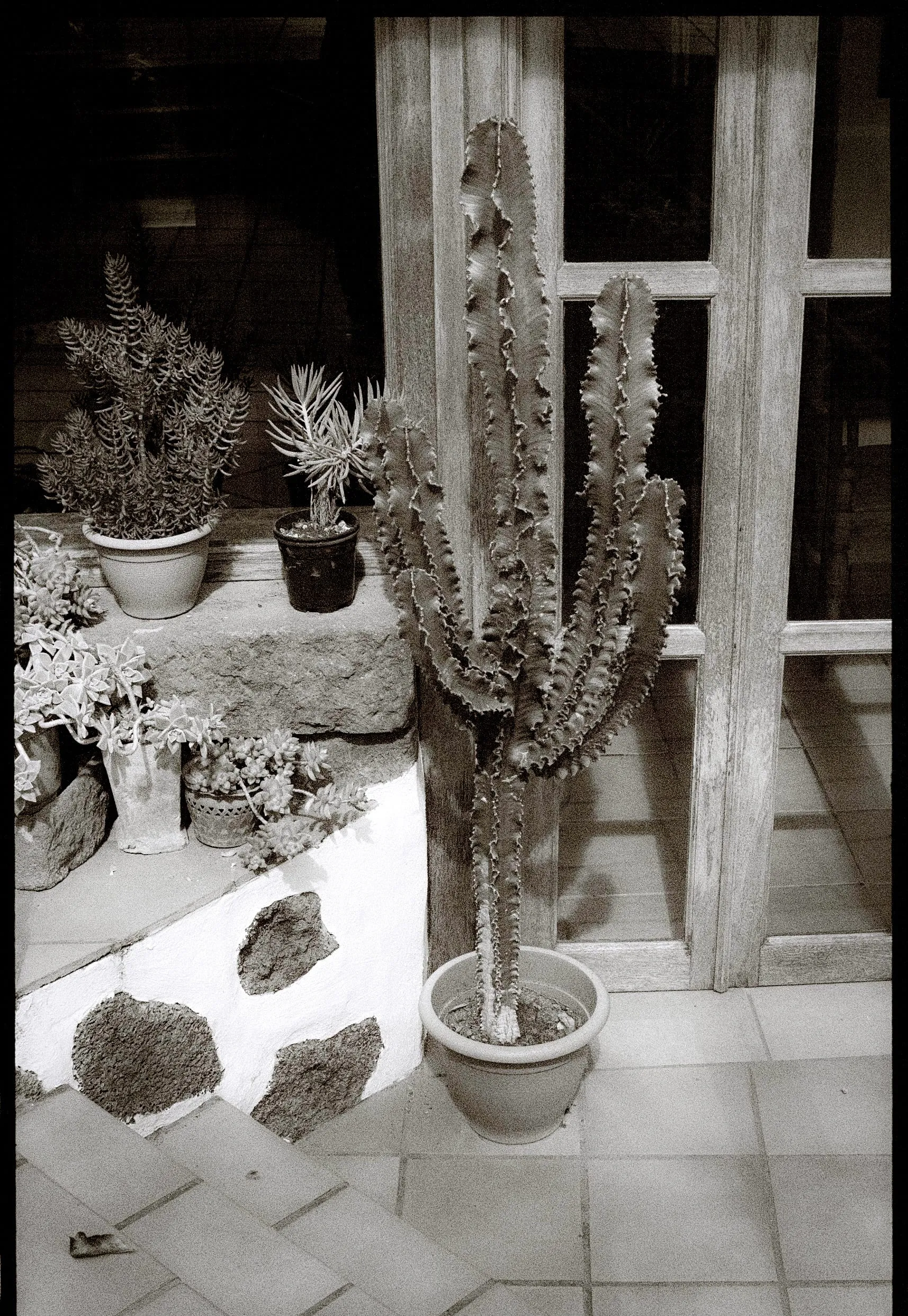 Viajes — foto 76