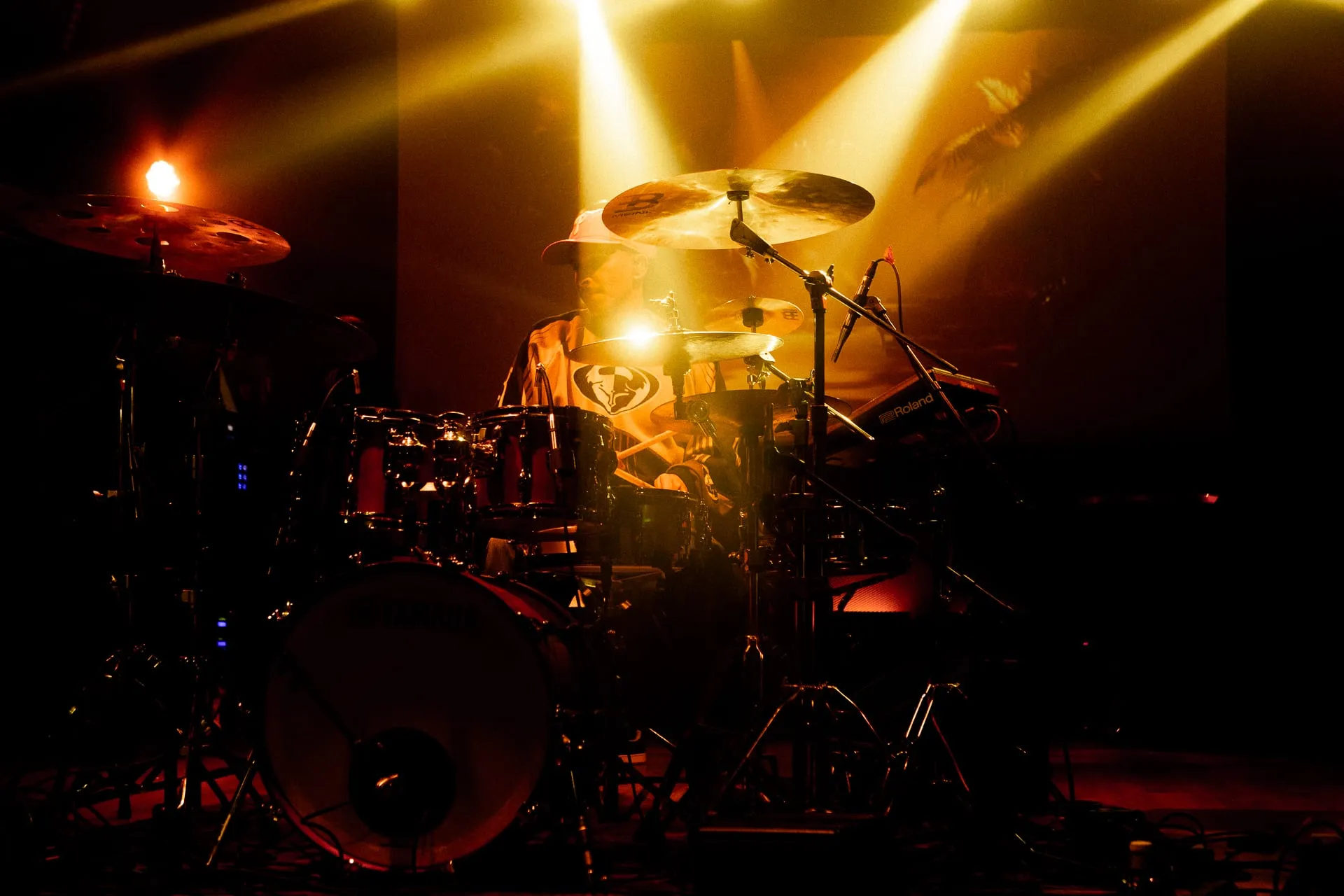 Music — photo 13